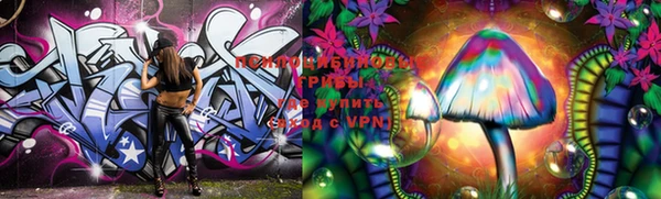 apvp Баксан
