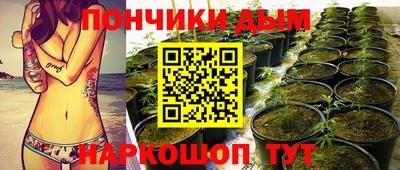 спиды Дубна