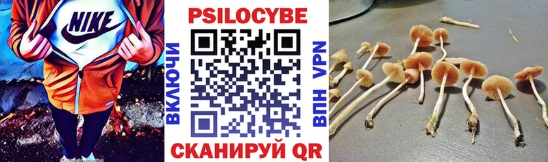 Псилоцибиновые грибы Magic Shrooms Армавир