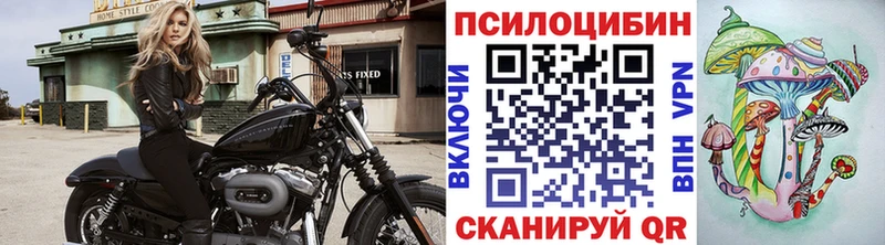 Псилоцибиновые грибы Magic Shrooms сколько стоит Армавир