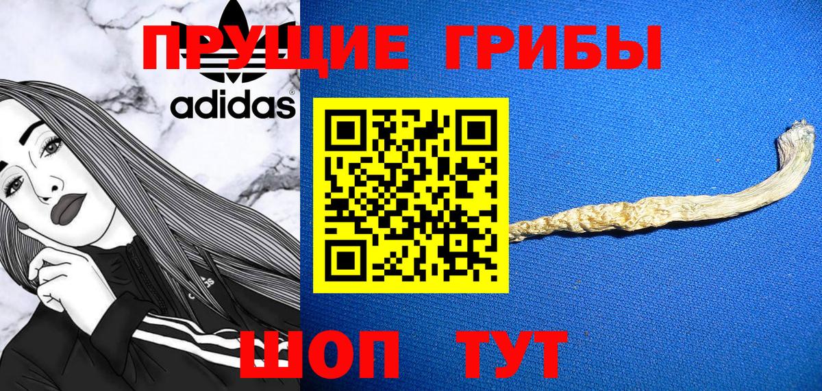 Армавир  Галлюциногенные грибы MAGIC MUSHROOMS  Вход с VPN 